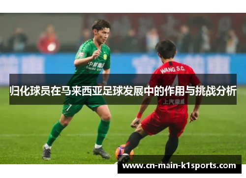 归化球员在马来西亚足球发展中的作用与挑战分析