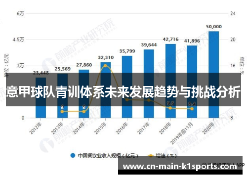 意甲球队青训体系未来发展趋势与挑战分析