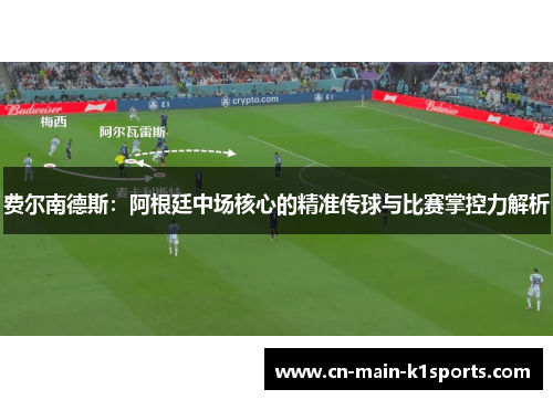 费尔南德斯：阿根廷中场核心的精准传球与比赛掌控力解析
