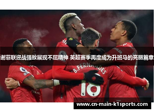 谢菲联迎战强敌展现不屈精神 英超赛季再度成为升班马的亮丽篇章