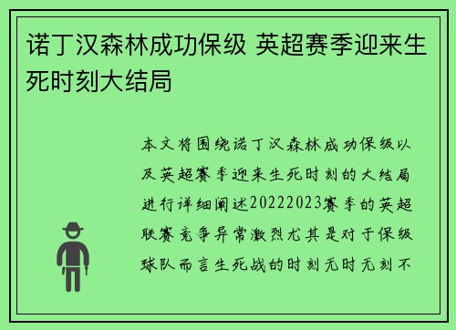 诺丁汉森林成功保级 英超赛季迎来生死时刻大结局